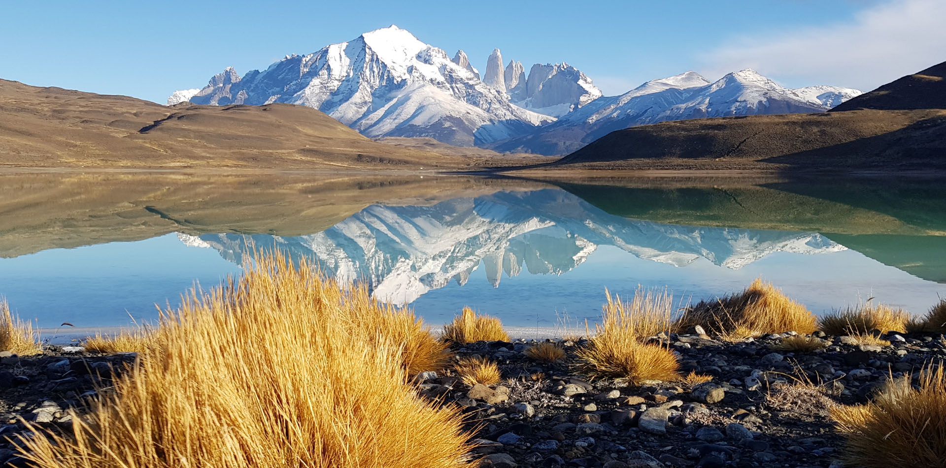 Into The Wild Patagonia  Private Expeditions in Chile